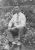 José Argüelles Martinez José Argüelles Martinez